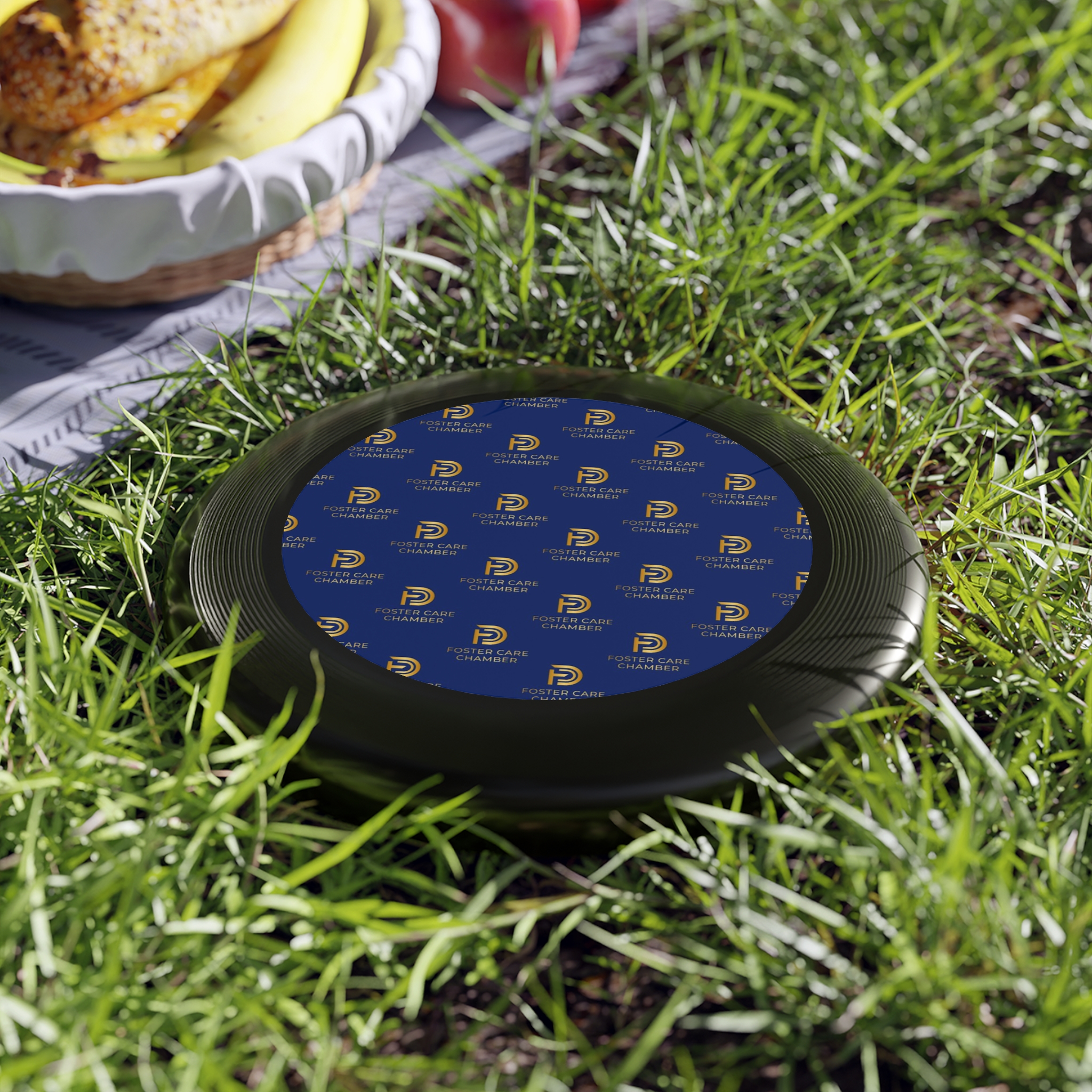 Frisbee - Image 3
